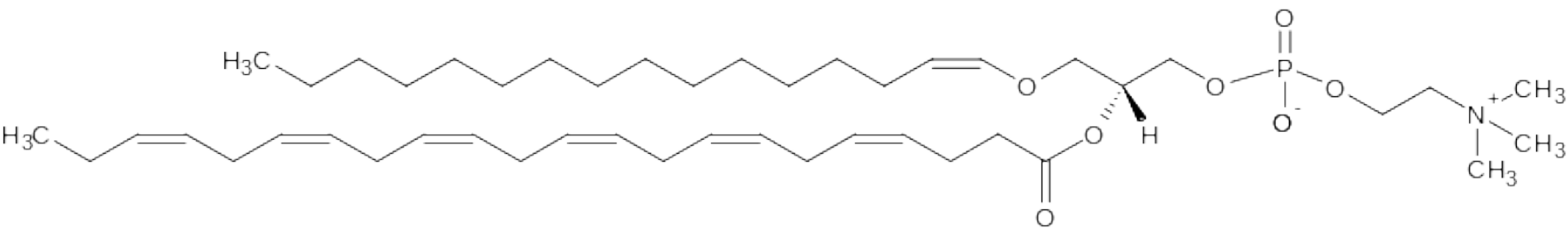 Fig.3.1